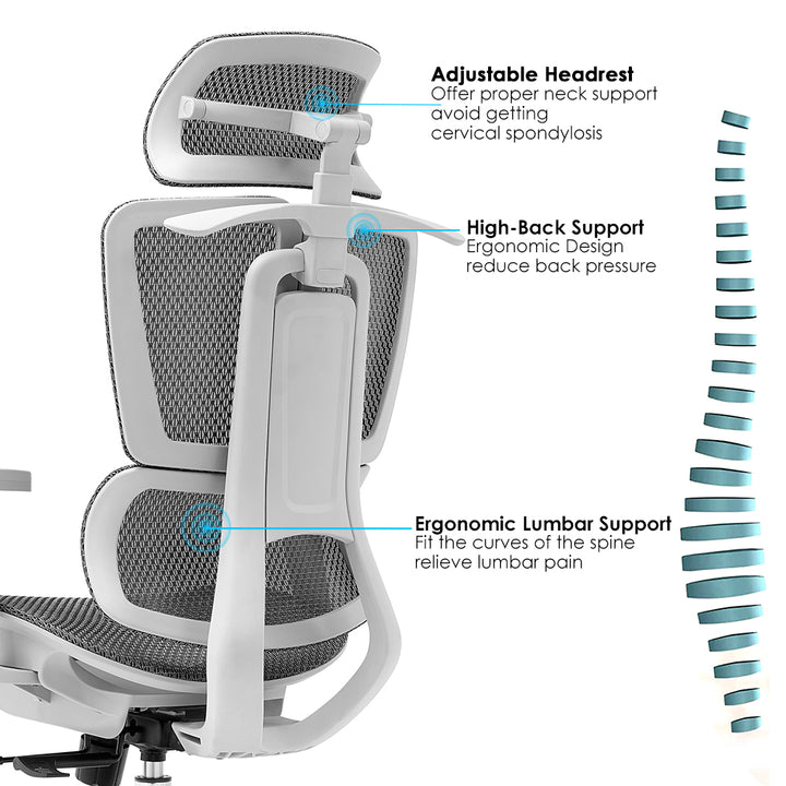 Mesh Ergonimic Offic chair Lumbar Support - DLB Furniture
