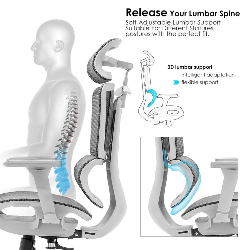 Mesh Ergonimic Offic chair Lumbar Support - DLB Furniture