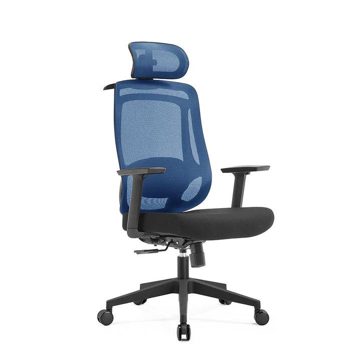Bonnie Ergonomic Office Chair - DLB Furniture