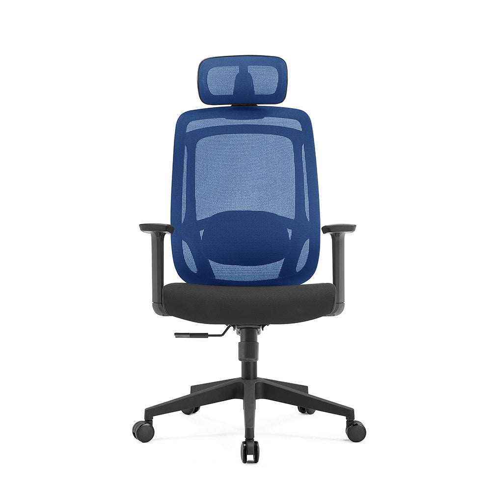 Bonnie Ergonomic Office Chair - DLB Furniture