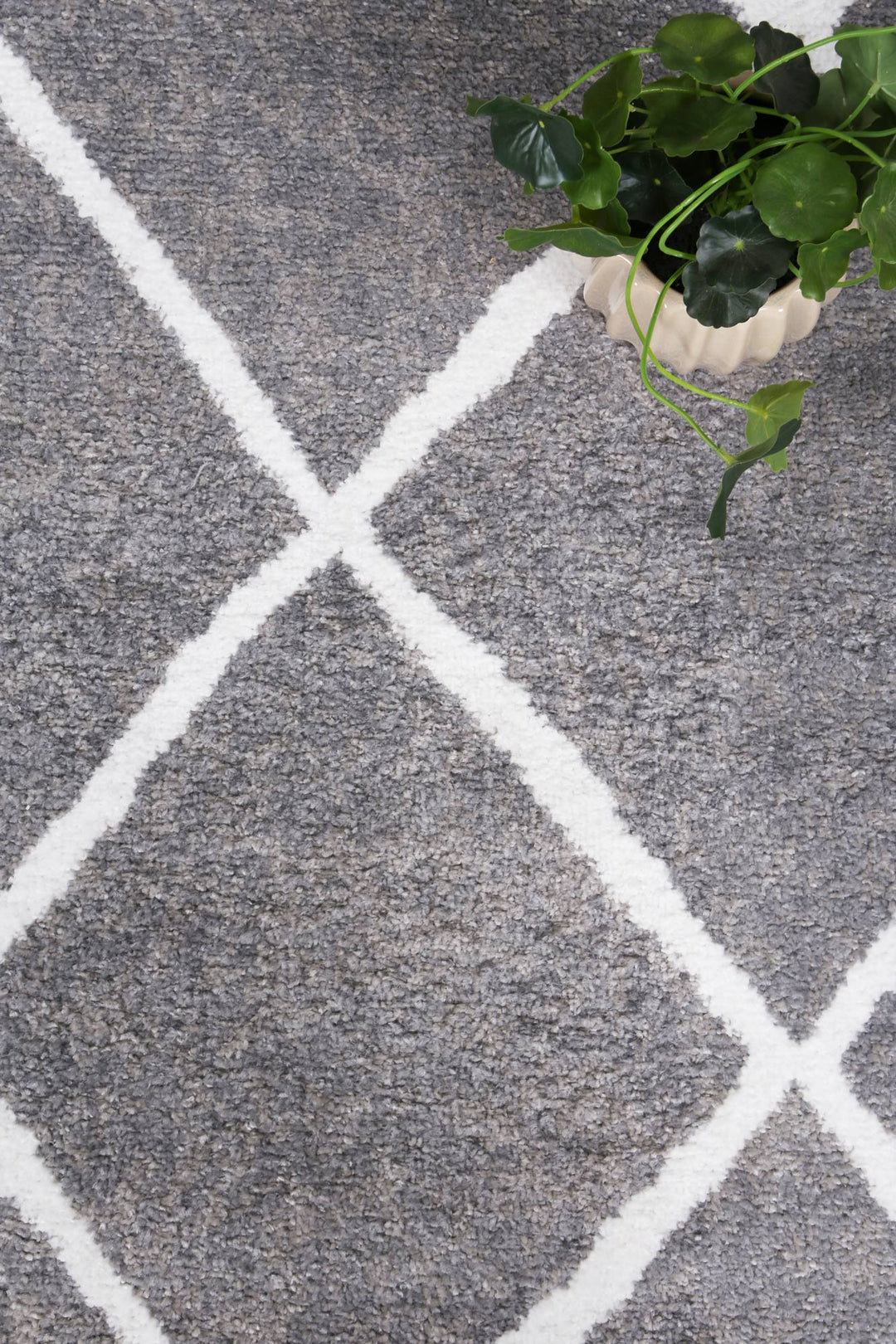 Kimberley Trellis Grey Contemporary Rug - DLB Furniture