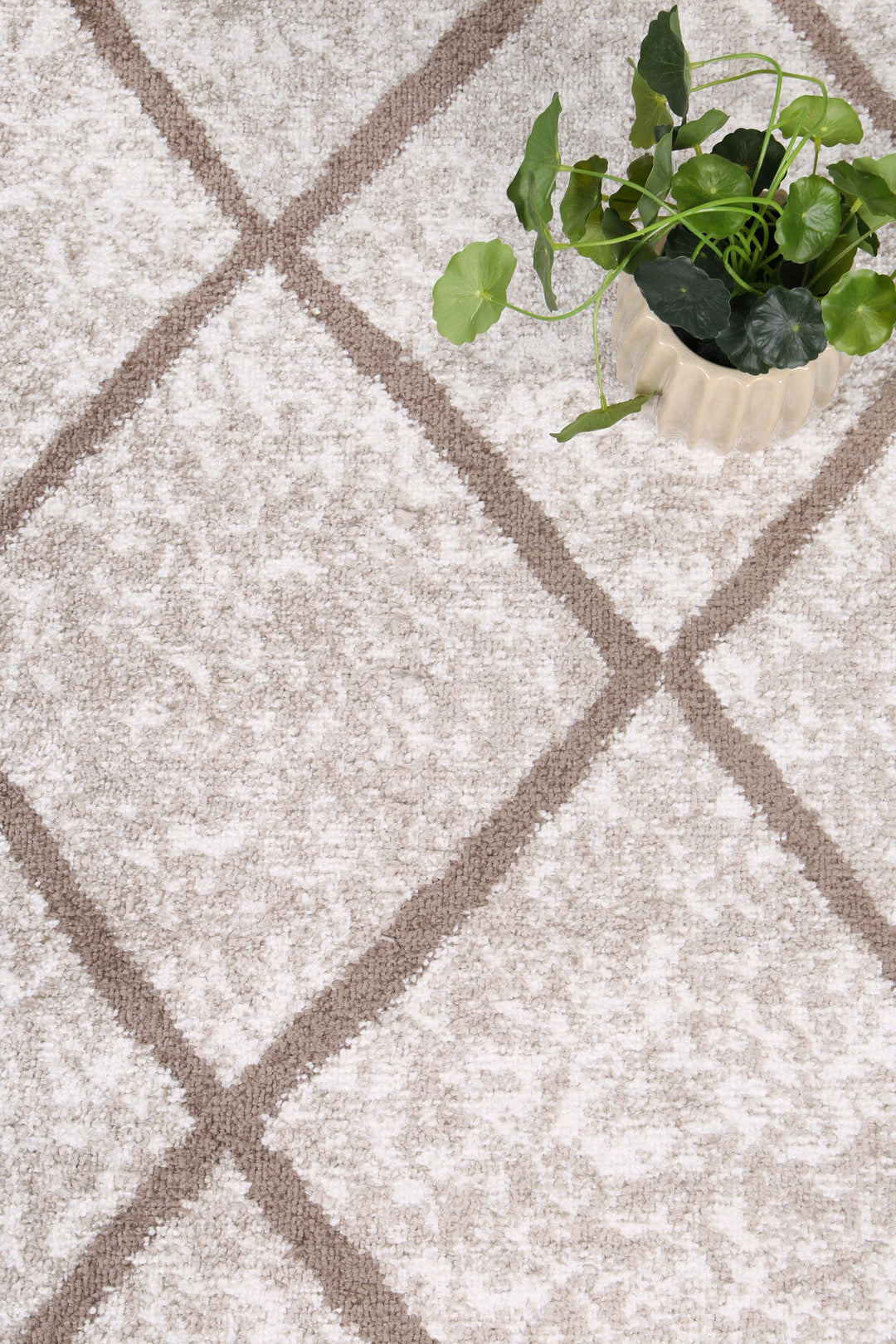 Kimberley Trellis Latte Contemporary Rug - DLB Furniture