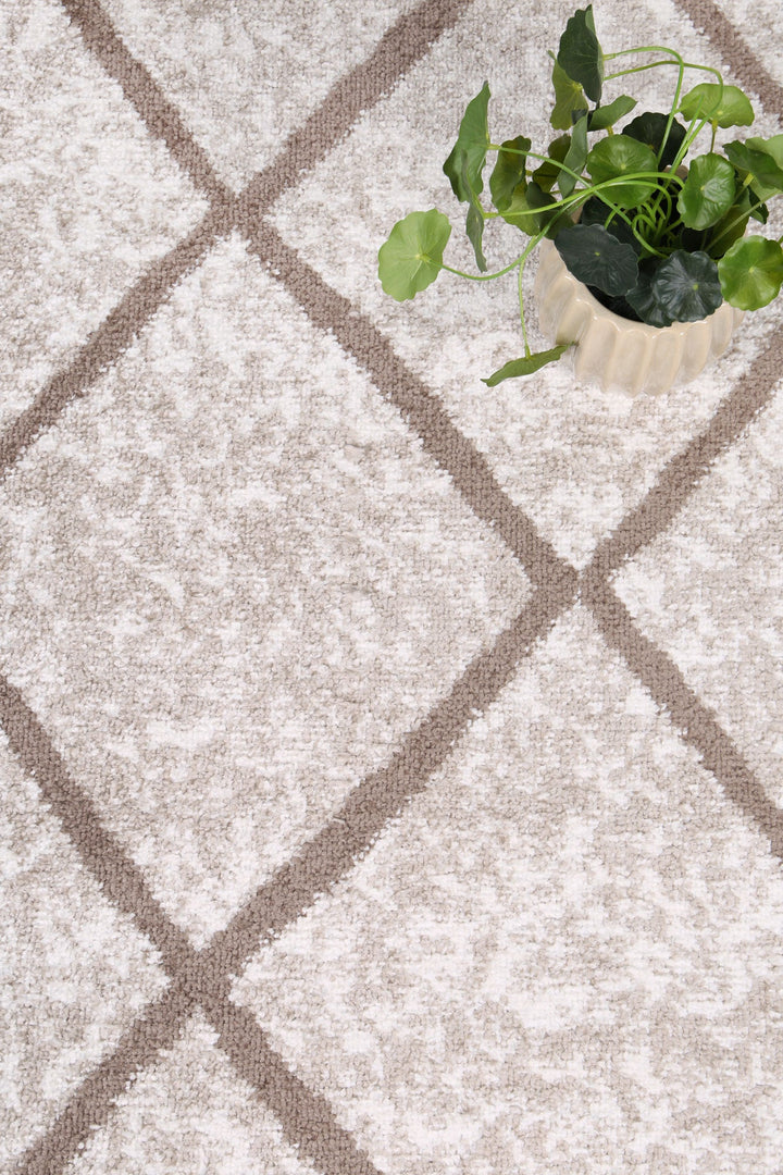 Kimberley Trellis Latte Contemporary Rug - DLB Furniture