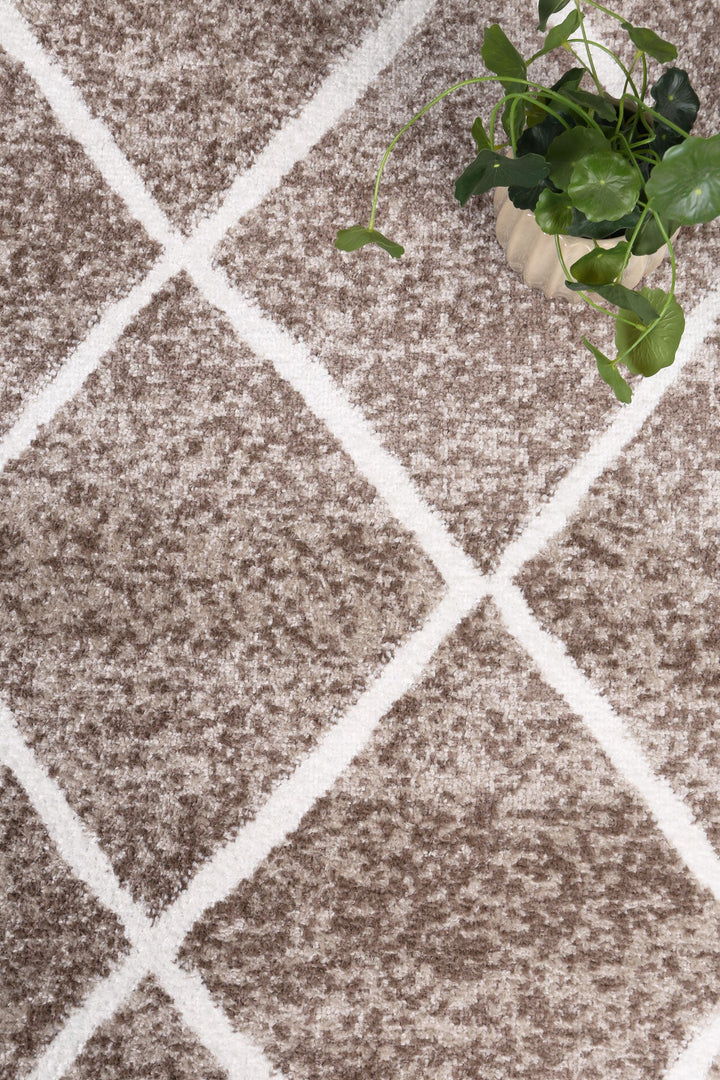 Kimberley Trellis Mocha Contemporary Rug - DLB Furniture