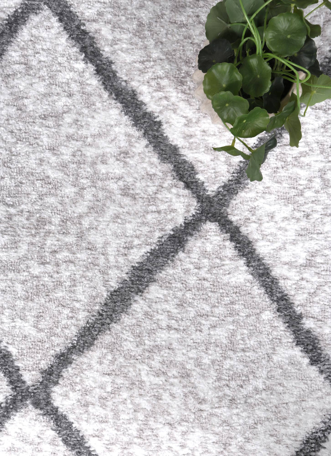 Kimberley Trellis Silver Contemporary Rug - DLB Furniture