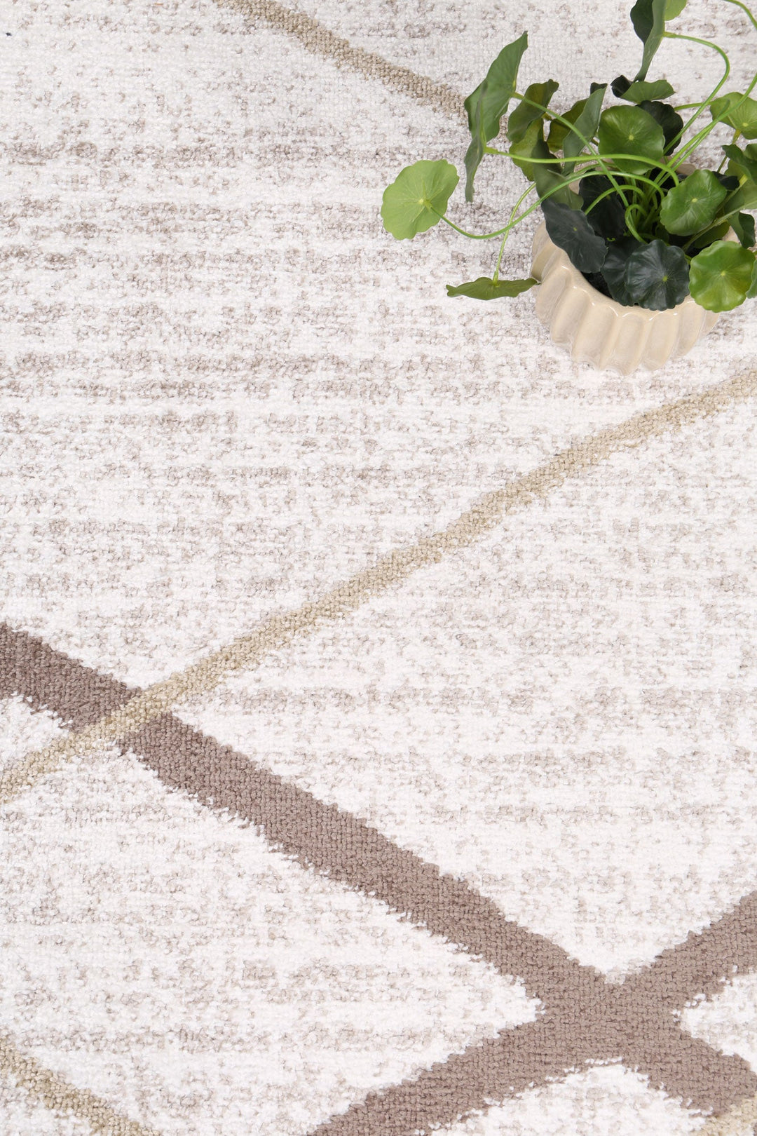 Kimberley Lattice Latte Contemporary Rug - DLB Furniture