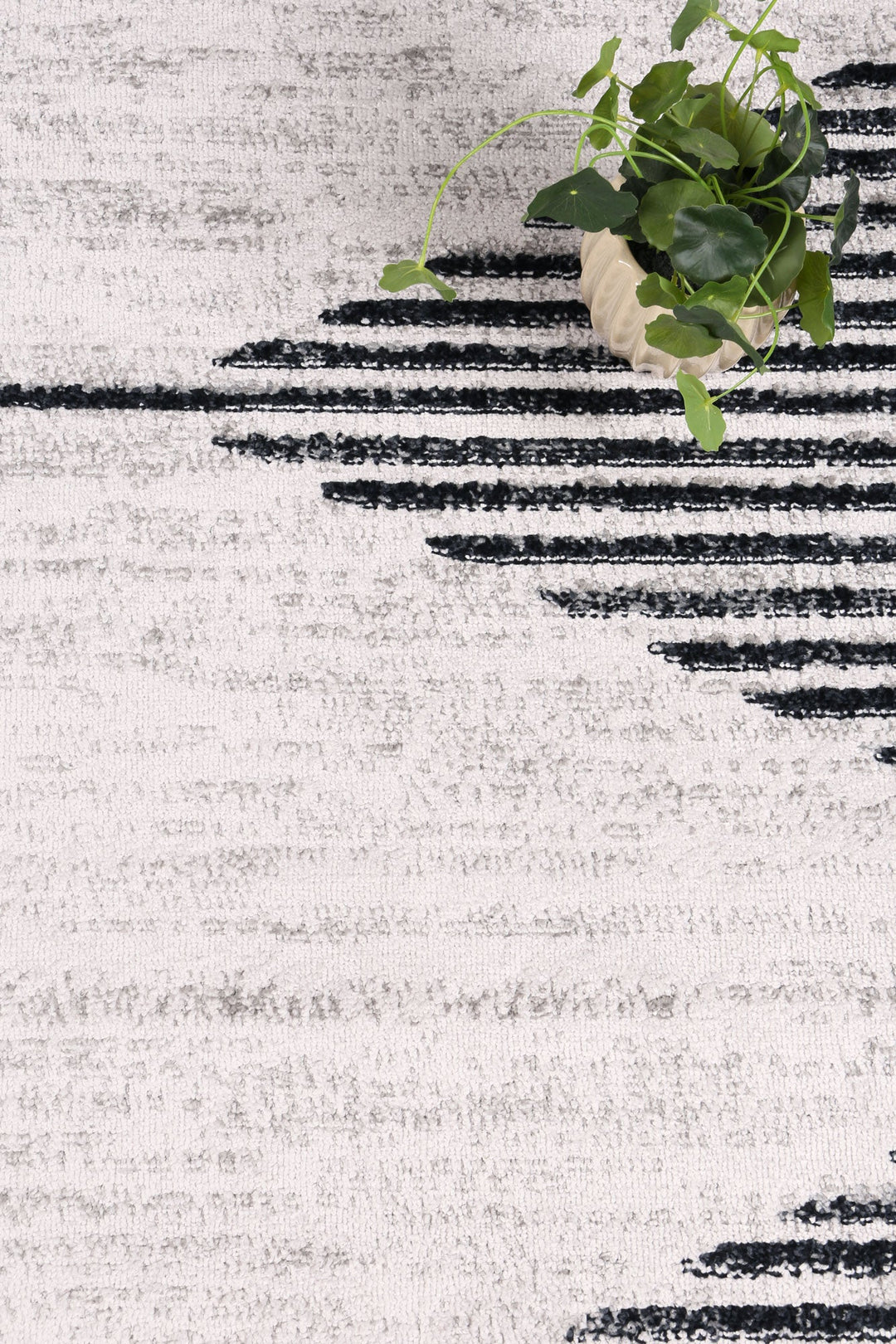 Kimberley Diamond Charcoal Contemporary Rug - DLB Furniture