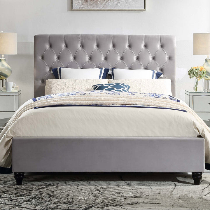 Colima Velvet king Bed Frame - DLB Furniture