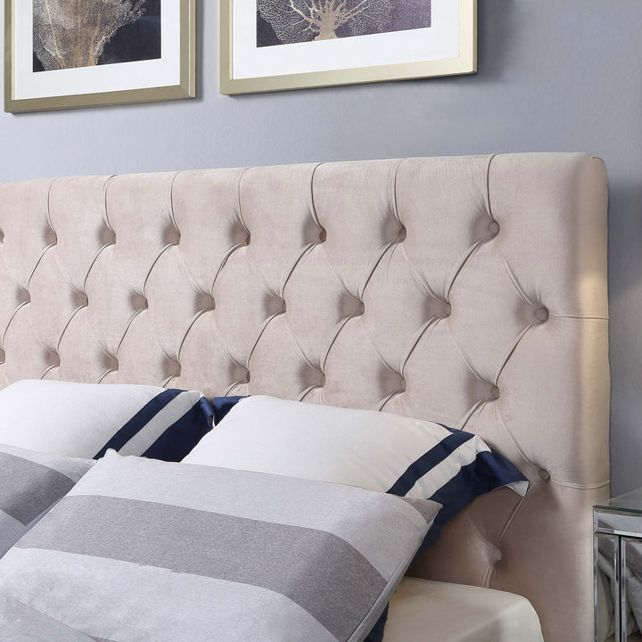 Colima Velvet king Bed Frame - DLB Furniture